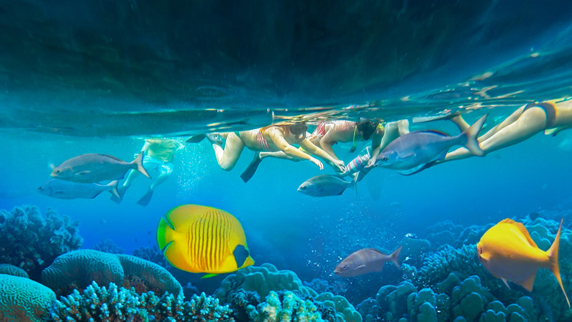 kauai snorkeling tours