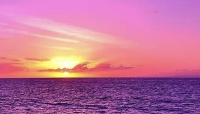 Kauai Sunset | Blue Dolphin Kauai