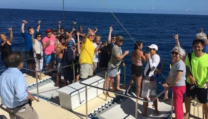 Boat passengers watching dolphins | Blue Dolphin Kauai