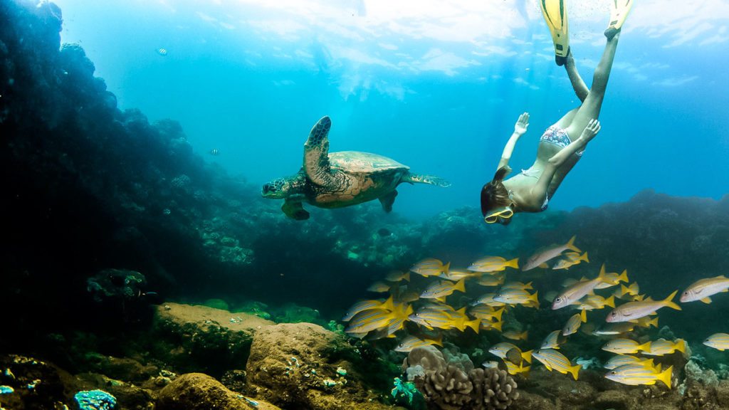 snorkeling tours on kauai