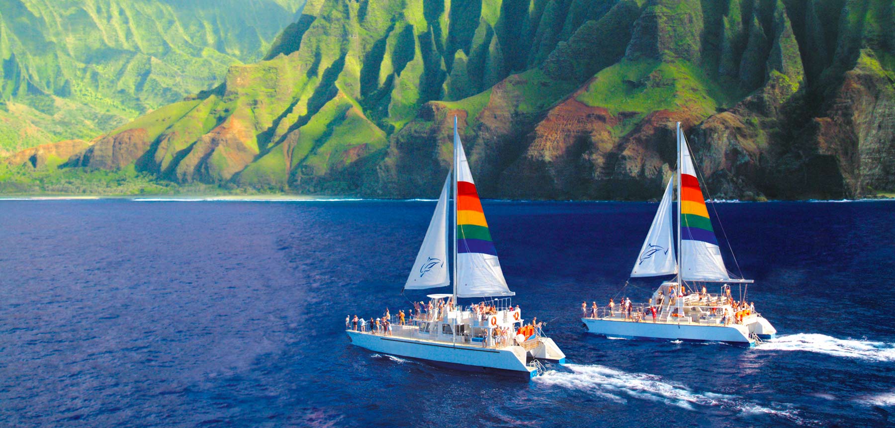 Blue Dolphin Charters Niihau & Napali Coast Tours