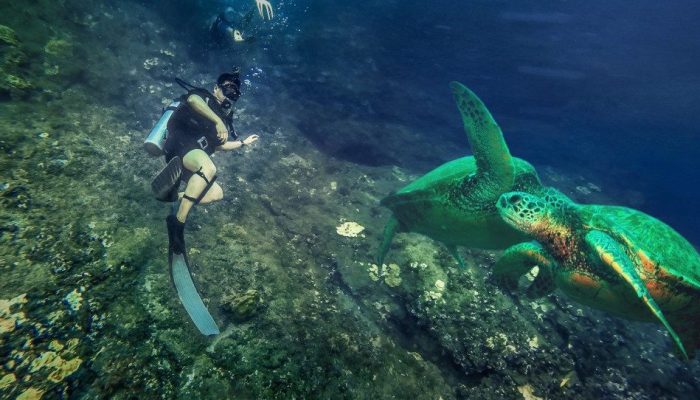 Scuba Diving Kauai