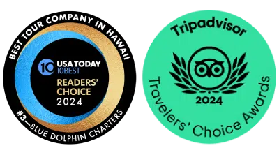 Travelers' Choice 2022