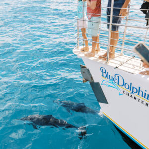 best napali coast catamaran tour